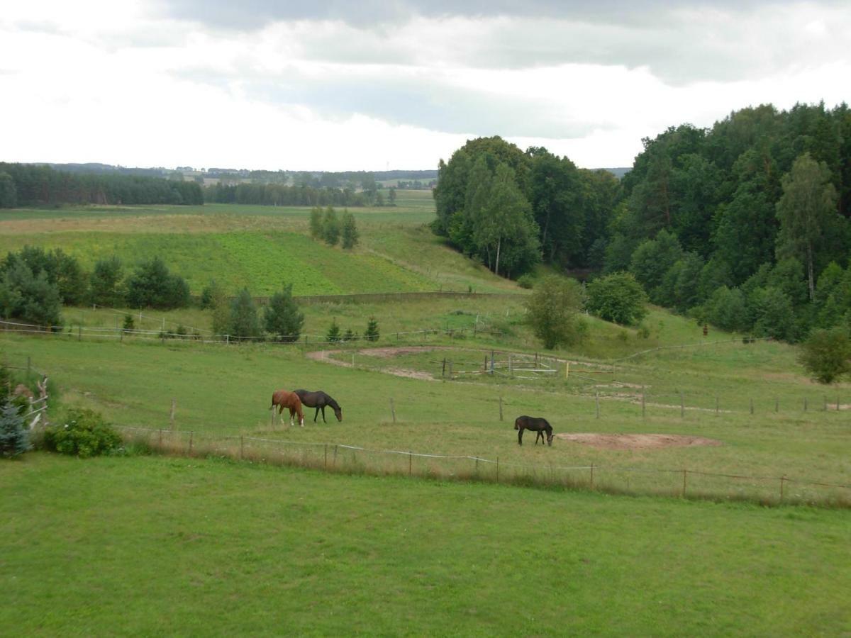 Agroturystyka Owczarnia Vila Kętrzyn Exterior foto